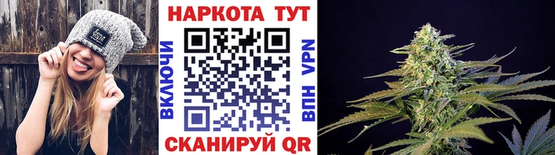 A PVP Балтийск